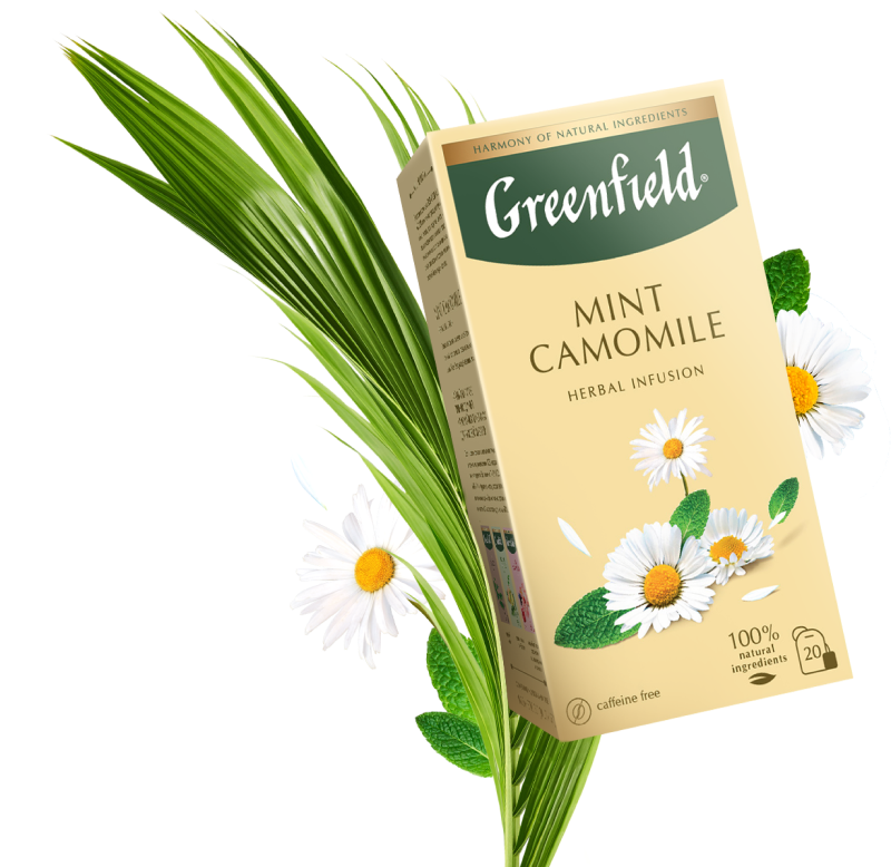 Mint Camomile